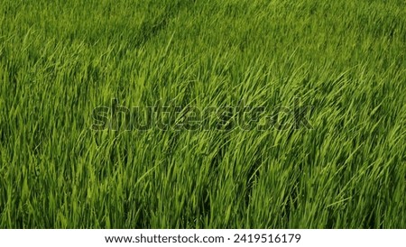 Similar – Image, Stock Photo Irrigation Long shot