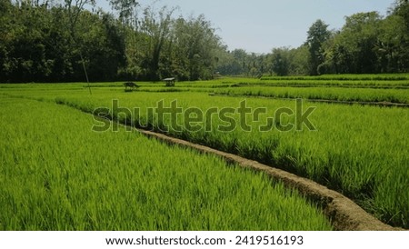 Similar – Image, Stock Photo Irrigation Long shot
