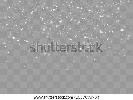 White gradient decorative element.vector illustration. Snow and wind on a transparent background.  winter and snow with fog.