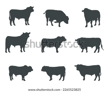 Aberdeen angus silhouettes , Aberdeen angus cow silhouette set