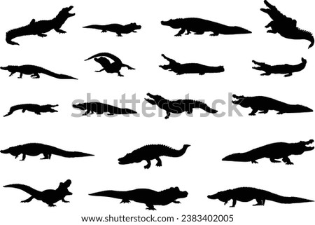 Alligator silhouettes, Crocodile silhouette, Crocodile and alligator silhouette, Alligator clip art