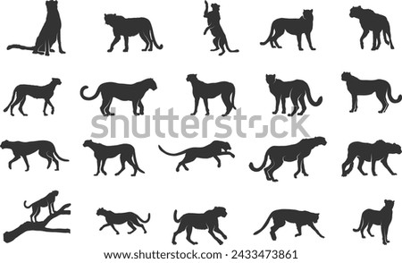 Cheetah silhouette, Cheetah running silhouettes, Cheetah vector illustration