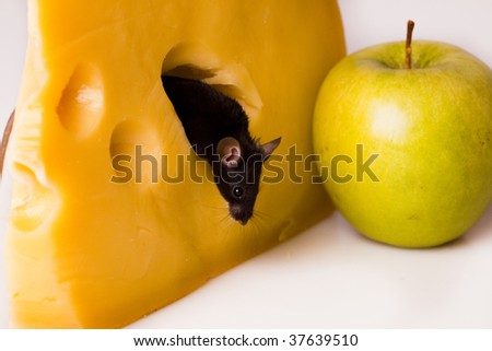 The Mouse and the apple