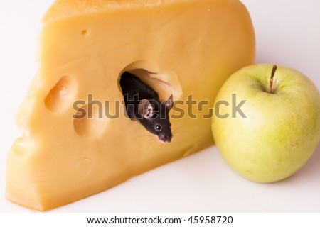 Mouse on an apple