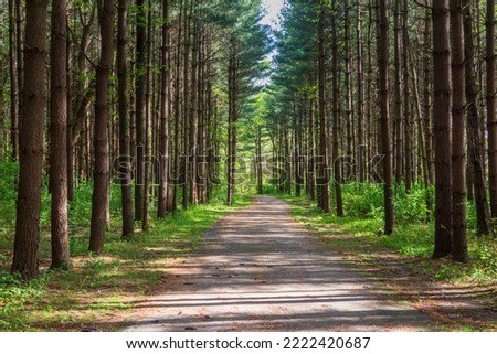 Similar – Image, Stock Photo Path through forest with green grass alongside