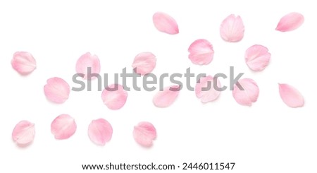 Similar – Image, Stock Photo cherry blossom