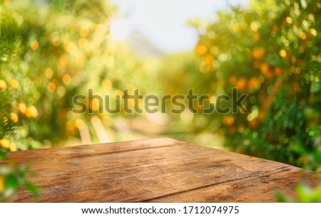 Photo of Empty wood table with free space over orange trees, orange field background. For product display montage