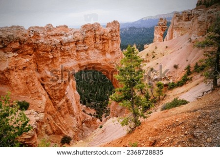 Similar – Foto Bild Bryce Canyon Umwelt Natur