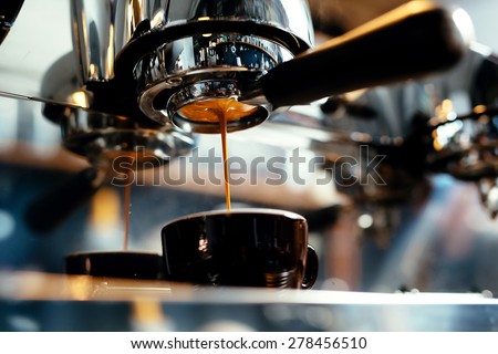 Similar – Image, Stock Photo Barista preparing a coffee at the sieve carrier machine in a café