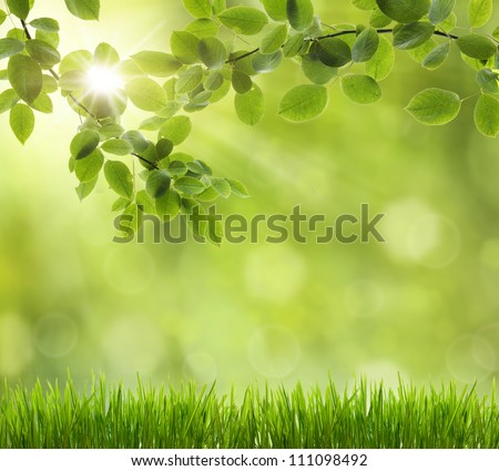 Eco nature / green and blue abstract defocused background with sunshine