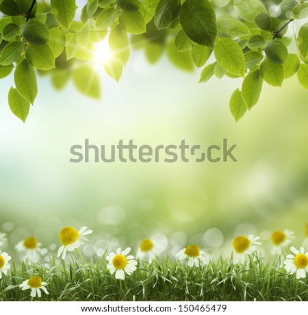 Spring or summer season abstract nature background with grass and blue sky in the back