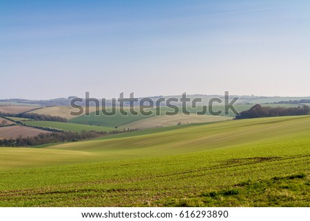 Sussex Patchwork