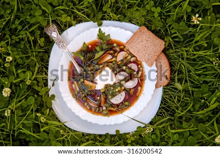 a plate veggie soup with bread in the grass