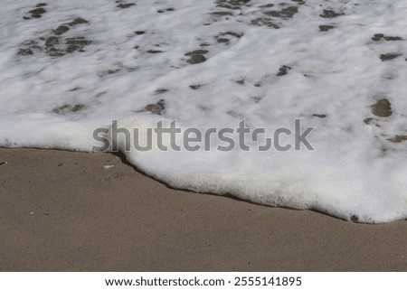 Similar – Image, Stock Photo wet sandy shore on sunny day in beach