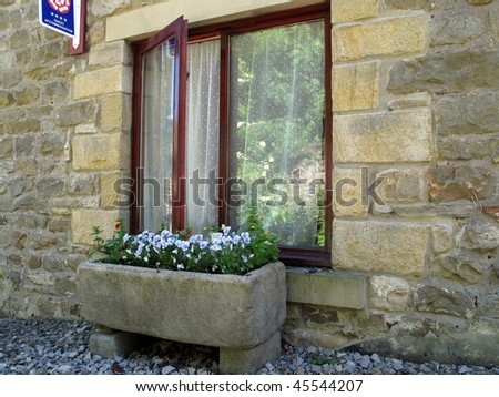Ancient building window with flower box