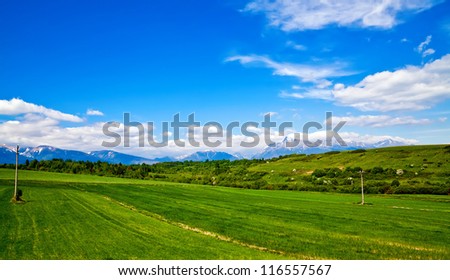 idyllic view of a meadow and mountains in High Tatra in Slovakia