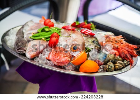 a variety of fresh fish and seafood stored on ice on the tray