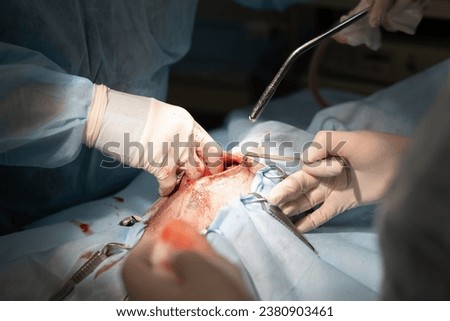 Similar – Image, Stock Photo Veterinary surgeon performing a surgical procedure on a dog