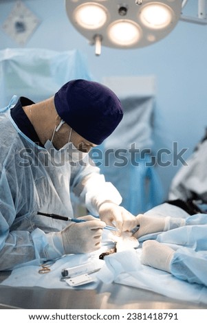 Similar – Image, Stock Photo Veterinary surgeon performing a surgical procedure on a dog