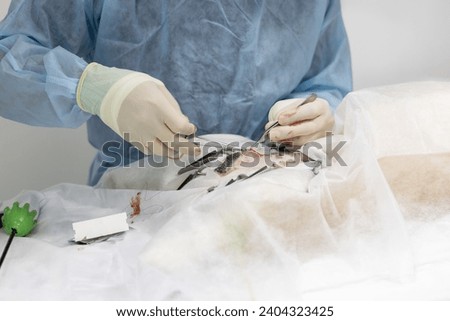 Similar – Image, Stock Photo Veterinary surgeon performing a surgical procedure on a dog