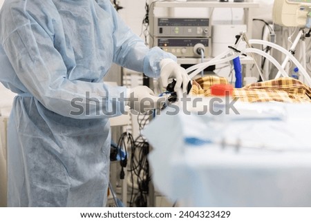 Similar – Image, Stock Photo Veterinary surgeon performing a surgical procedure on a dog