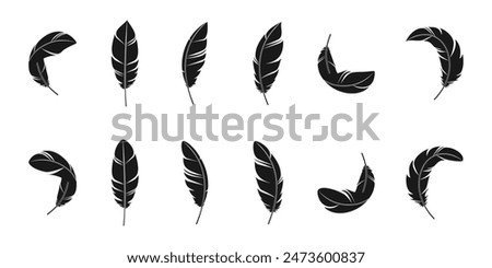 Bird feather icon set. vector illustration isolated on white background