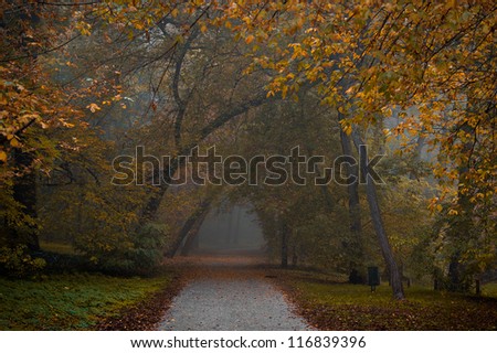 Autumn in the forest. Narrow road into the fog.