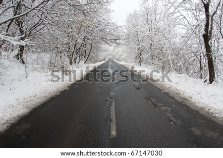 winter landscape. Winter road and trees covered with snow