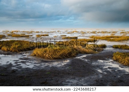 Similar – Image, Stock Photo Wadden Sea Environment