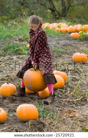 Young girl picking a pumpkin for Halloween