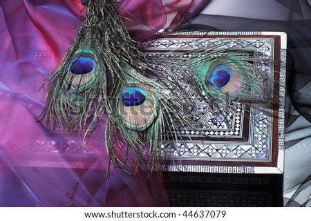 Vintage box with mother-of-pearl decoration and peacock feathers
