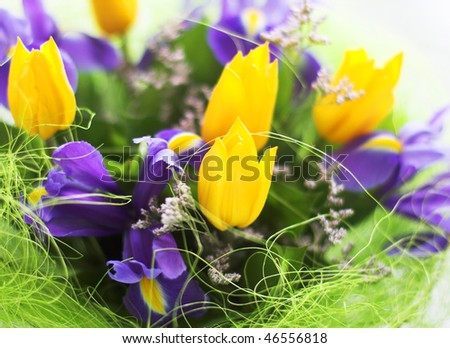 Bouquet. Violet irises and yellow tulips. Macro.