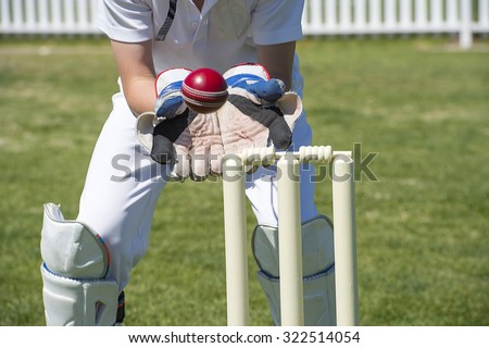 Wicket keeper catches cricket ball