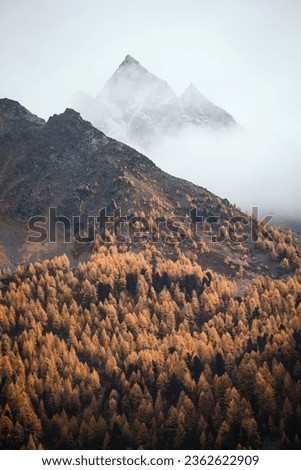 Similar – Image, Stock Photo The Bernina mountain range