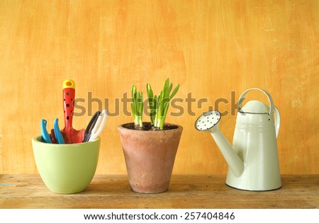 flower seedlings and gardening utensils, springtime, free copy space