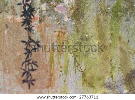 a color splattered wall with the shadow of a plant - grunge background