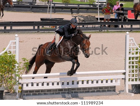 WELLINGTON, FLORIDA - SEPTEMBER 01: An unidentified rider competes at the Equestrian Sports Productions' ESP Labor Day event on September 1, 2012 in Wellington, Florida.