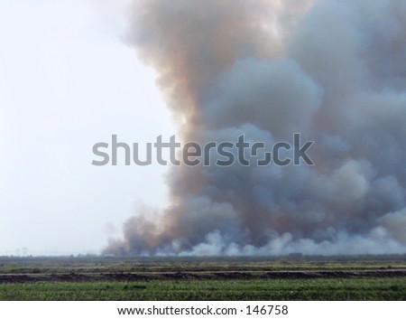 Large plumes of thick smoke billowing up from an agricultural burn of sugar cane, which is burned prior to harvesting to get rid of the dried leaves called trash. This reduces production costs.
