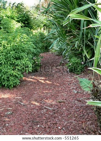 Forest path covered in red mulch