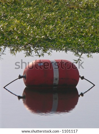 Marker buoy reflected in still water near green plants -portrait orientation