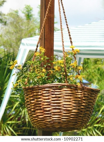 Garden scene hanging basket of yellow flower