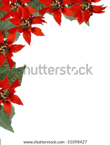 Christmas Border Frame Of Poinsettia Flowers Upper Left Corner Design ...