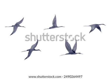 Similar – Image, Stock Photo Cranes in group flight in front of a blue sky with clouds