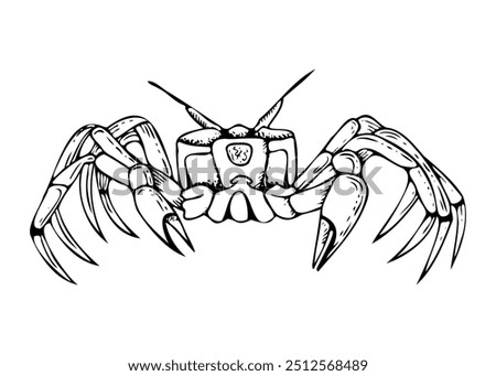 Line crab black and white vector illustration. Realistic ghost crab animal with claws from tropical sea nature. Ocean and underwater fauna ink sketch for seafood and eco friendly designs