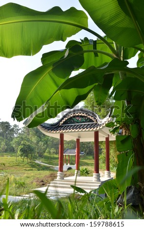 China Garden landscape