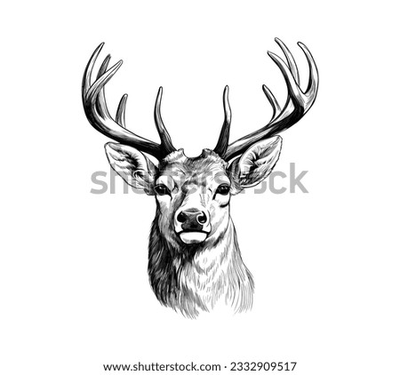 Hand drawn Deer sketch vector illustration