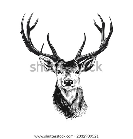 Hand drawn Deer sketch vector illustration