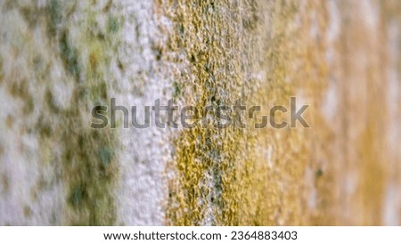 Similar – Image, Stock Photo patina Pattern filth Old