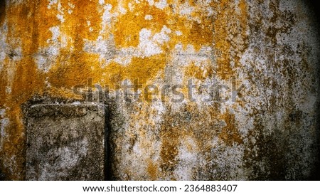 Similar – Image, Stock Photo patina Pattern filth Old
