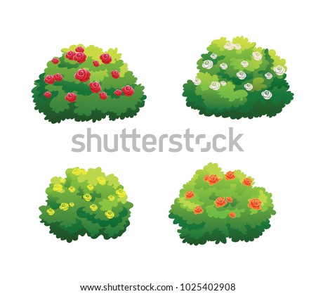 illustration of bush for decorate the garden beautifully.